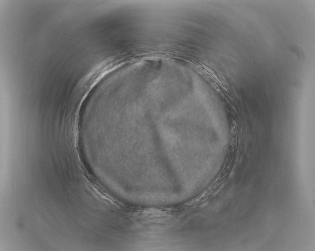 X0000115630290200912011446