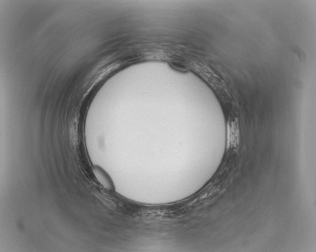 X0000115630291200912011446