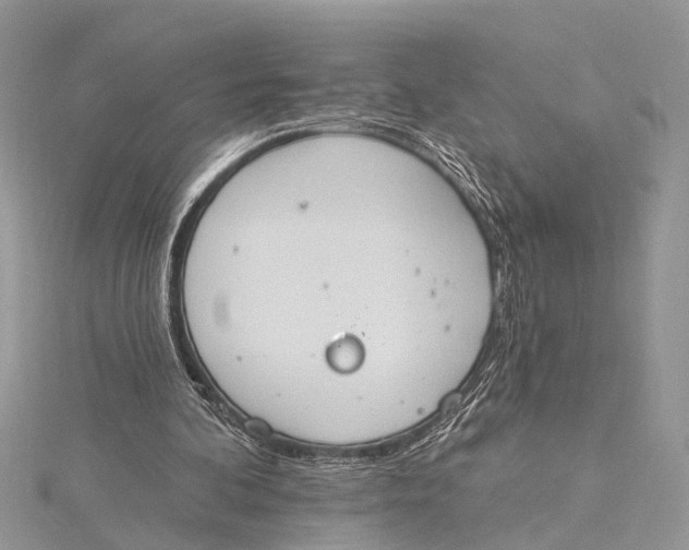 X0000115630292200912011446