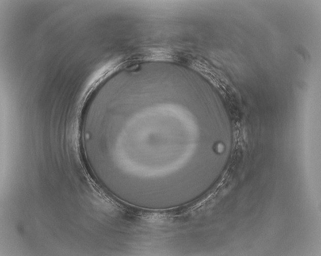 X0000115630293200912011446