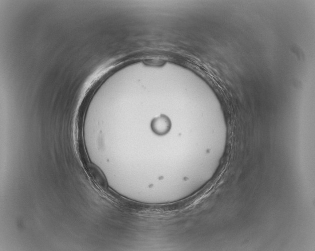 X0000115630294200912011446