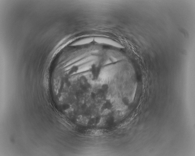 X0000115630295200912011446