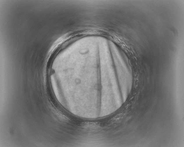 X0000115630296200912011446