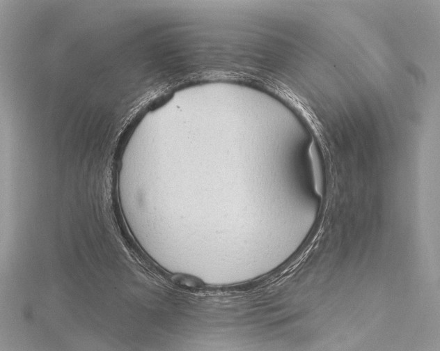 X0000115630297200912011446