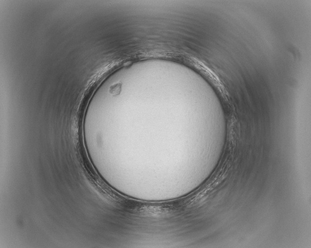 X0000115630298200912011446