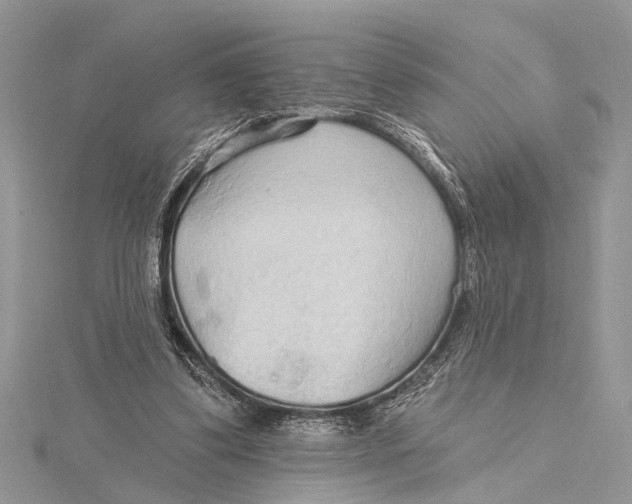 X0000115630299200912011446