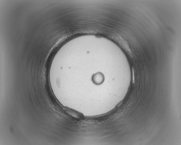 X0000115630300200912011446