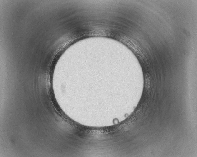 X0000115630302200912011446