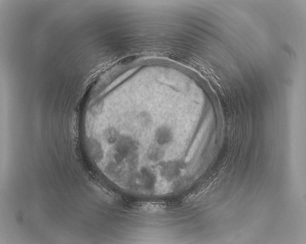 X0000115630303200912011446