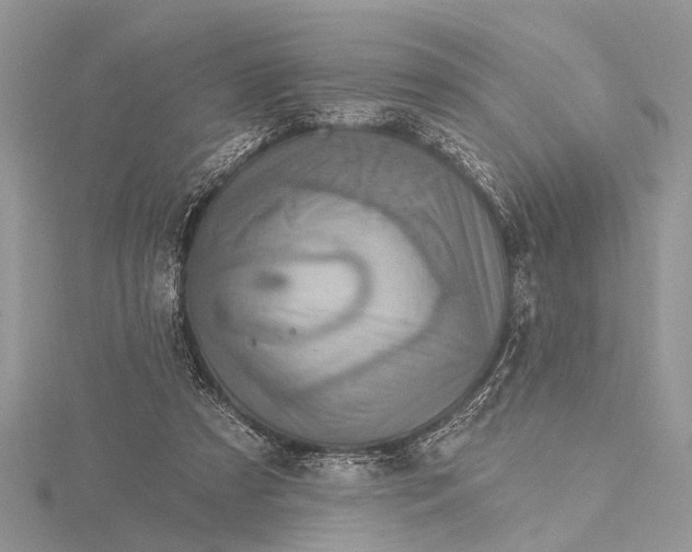 X0000115630305200912011446