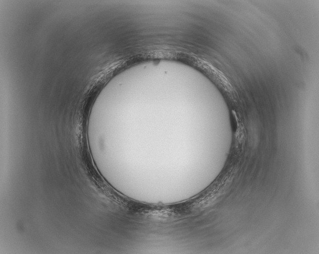 X0000115630306200912011446