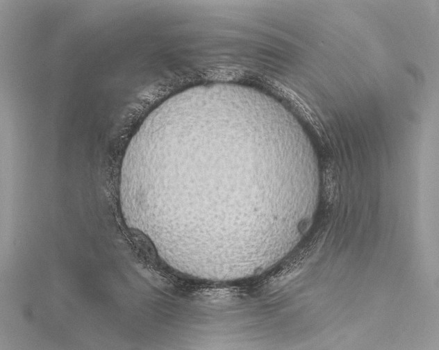 X0000115630307200912011446