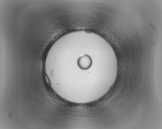 X0000115630308200912011446