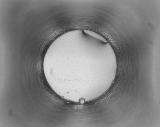 X0000115630309200912011446