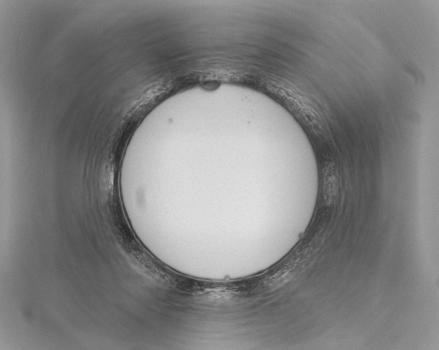 X0000115630310200912011446