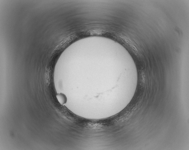 X0000115630311200912011446