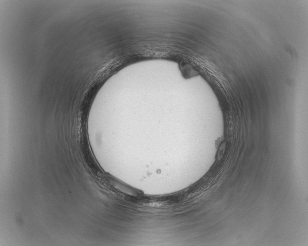 X0000115630312200912011446