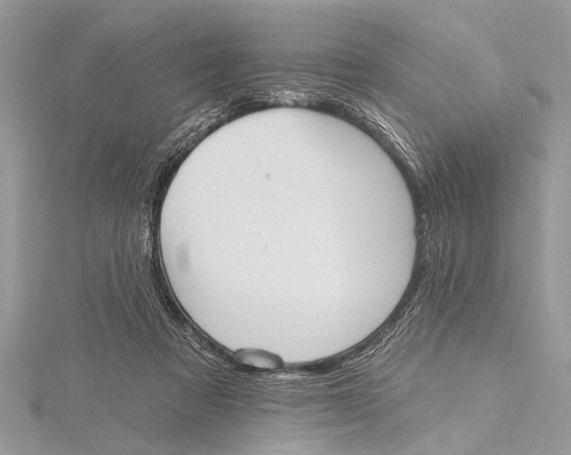 X0000115630313200912011446