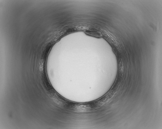 X0000115630315200912011446