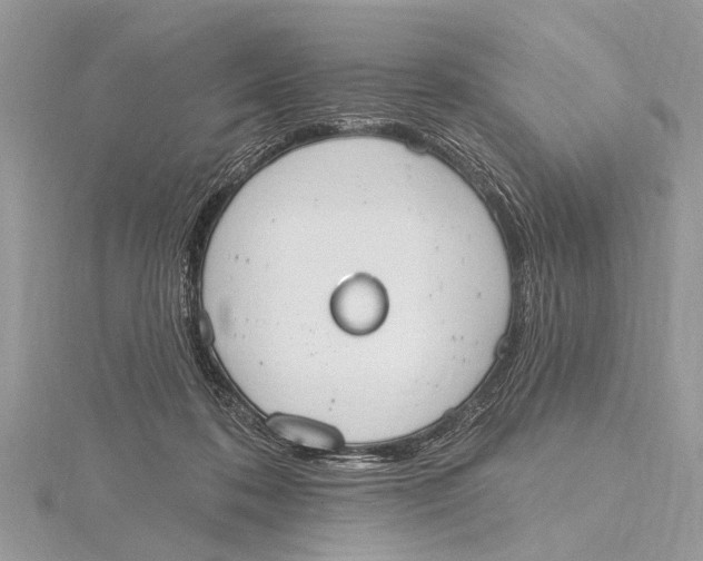 X0000115630316200912011446