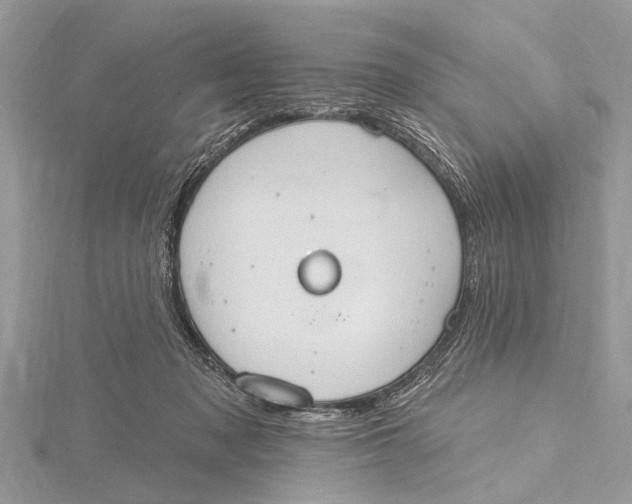 X0000115630317200912011446