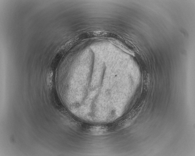 X0000115630319200912011446