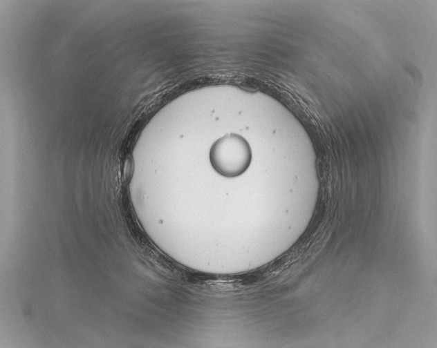 X0000115630320200912011446