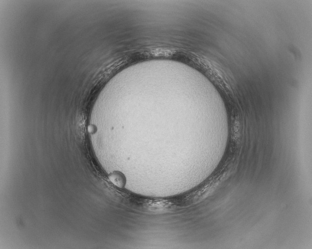 X0000115630321200912011446