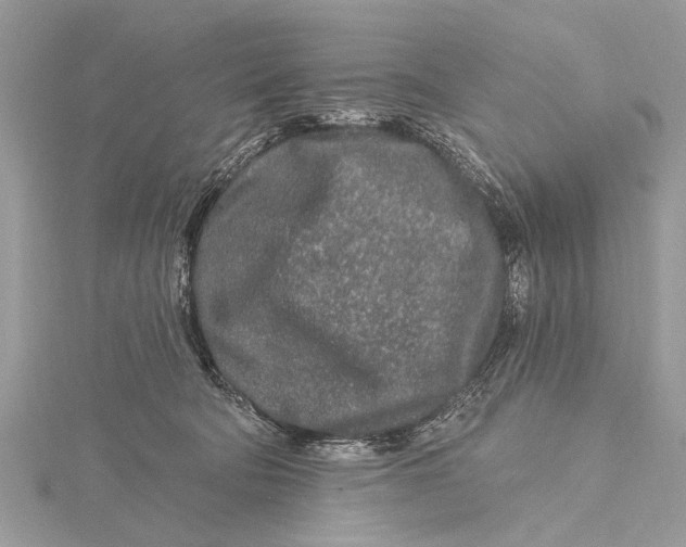 X0000115630322200912011446