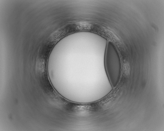 X0000115630323200912011446