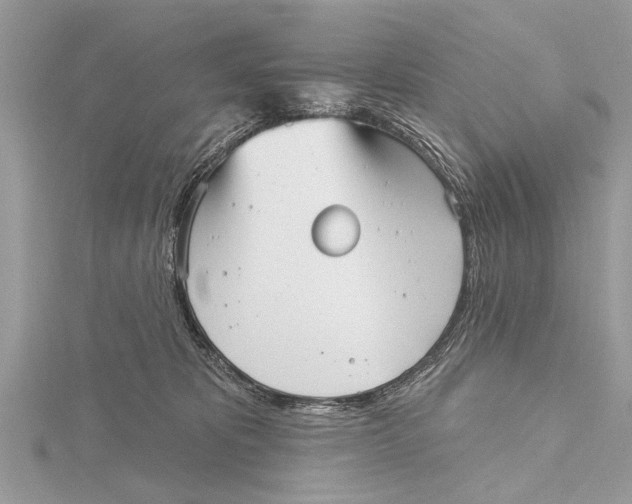 X0000115630325200912011446