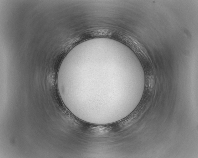 X0000115630326200912011446