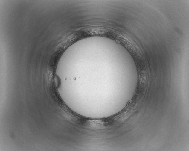 X0000115630327200912011446