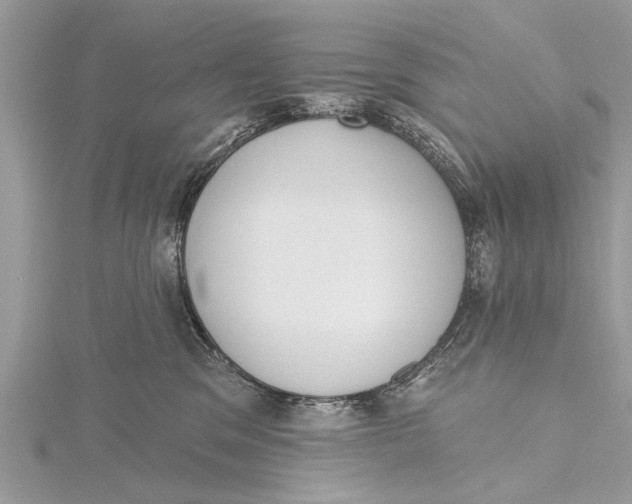 X0000115630329200912011446