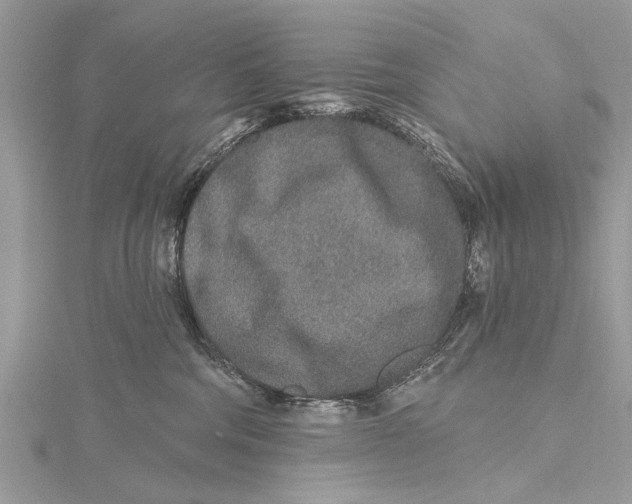 X0000115630330200912011446