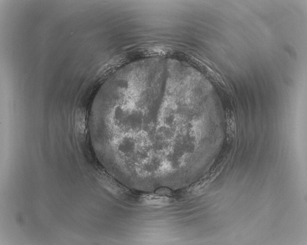 X0000115630331200912011446