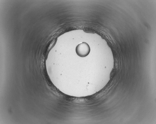 X0000115630332200912011446