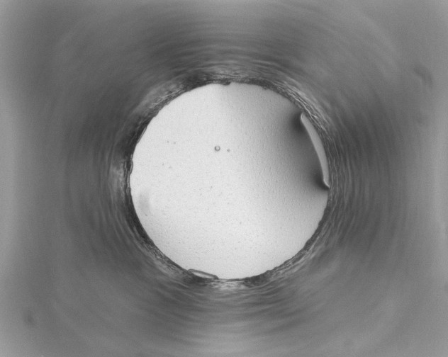 X0000115630333200912011446