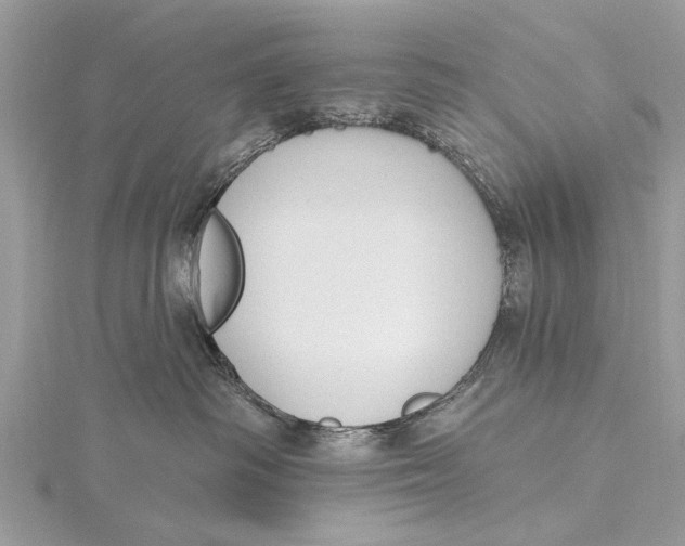 X0000115630334200912011446