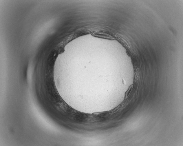 X0000115630335200912011446