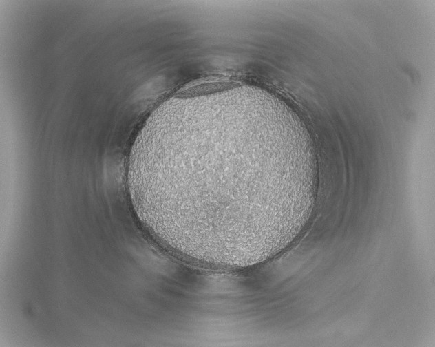 X0000115630336200912011446