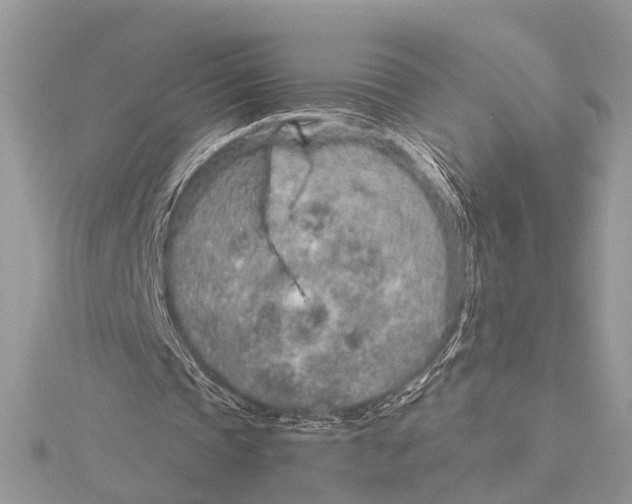 X0000115630337200912011445