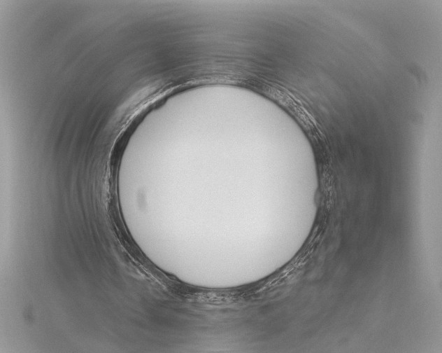 X0000115630338200912011445