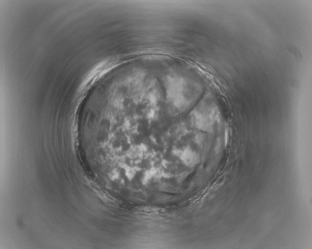 X0000115630339200912011445