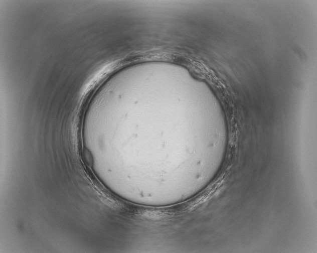 X0000115630341200912011445