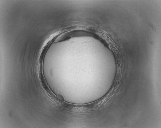 X0000115630342200912011445