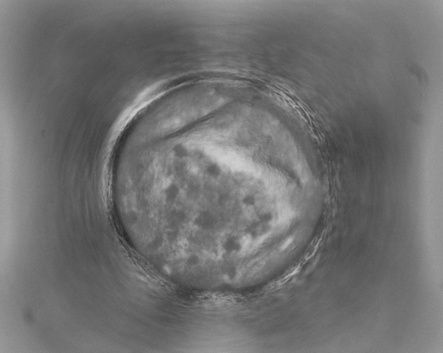 X0000115630343200912011445