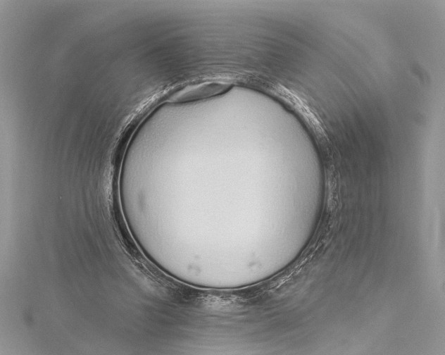 X0000115630346200912011445