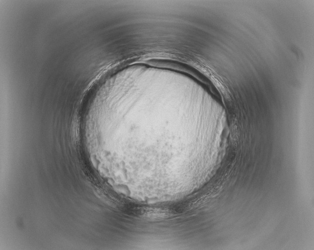 X0000115630347200912011445