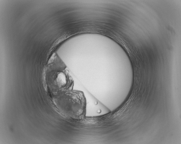 X0000115630349200912011445